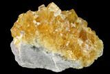 Lustrous, Golden Calcite Crystal Cluster - Fluorescent! #146687-1
